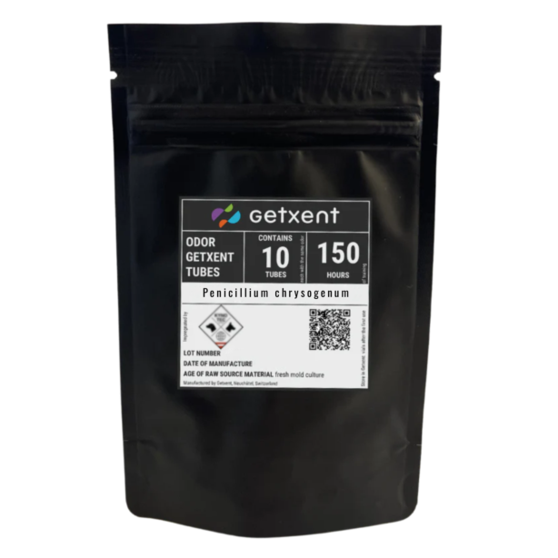 Penicillium chrysogenum | Pinselschimmel