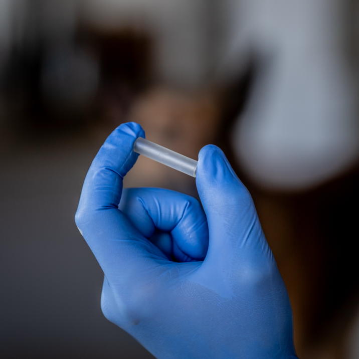 Getxent Tubes ohne Zielgeruch