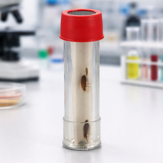 Bettwanzen | Getxent Tubes