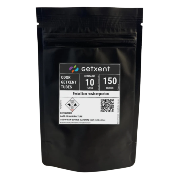 Penicillium brevicompactum | Pinselschimmel (Art)