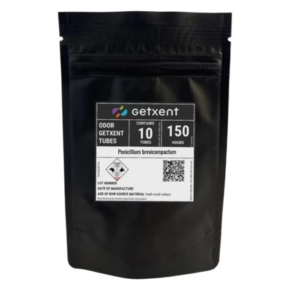 Penicillium brevicompactum | Pinselschimmel (Art)